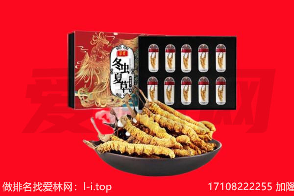 北京回收虫草.jpg